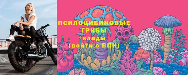 альфа пвп Няндома