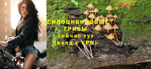 кокс Нягань
