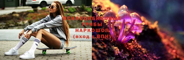 кокс Нягань