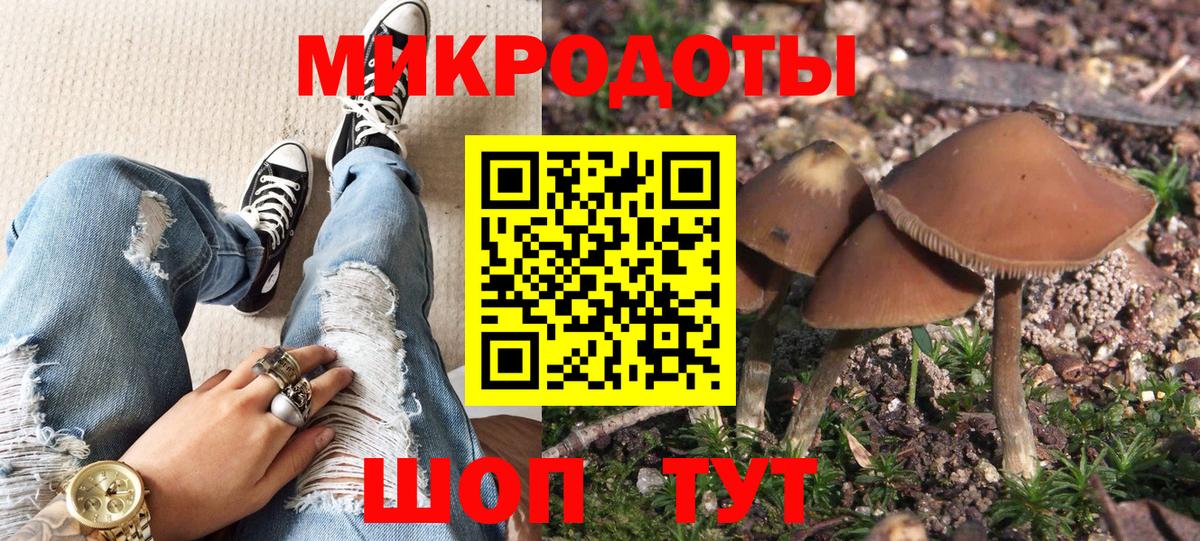 Галлюциногенные грибы GOLDEN TEACHER  Псилоцибиновые грибы Psilocybe  Нальчик  Вход с VPN 